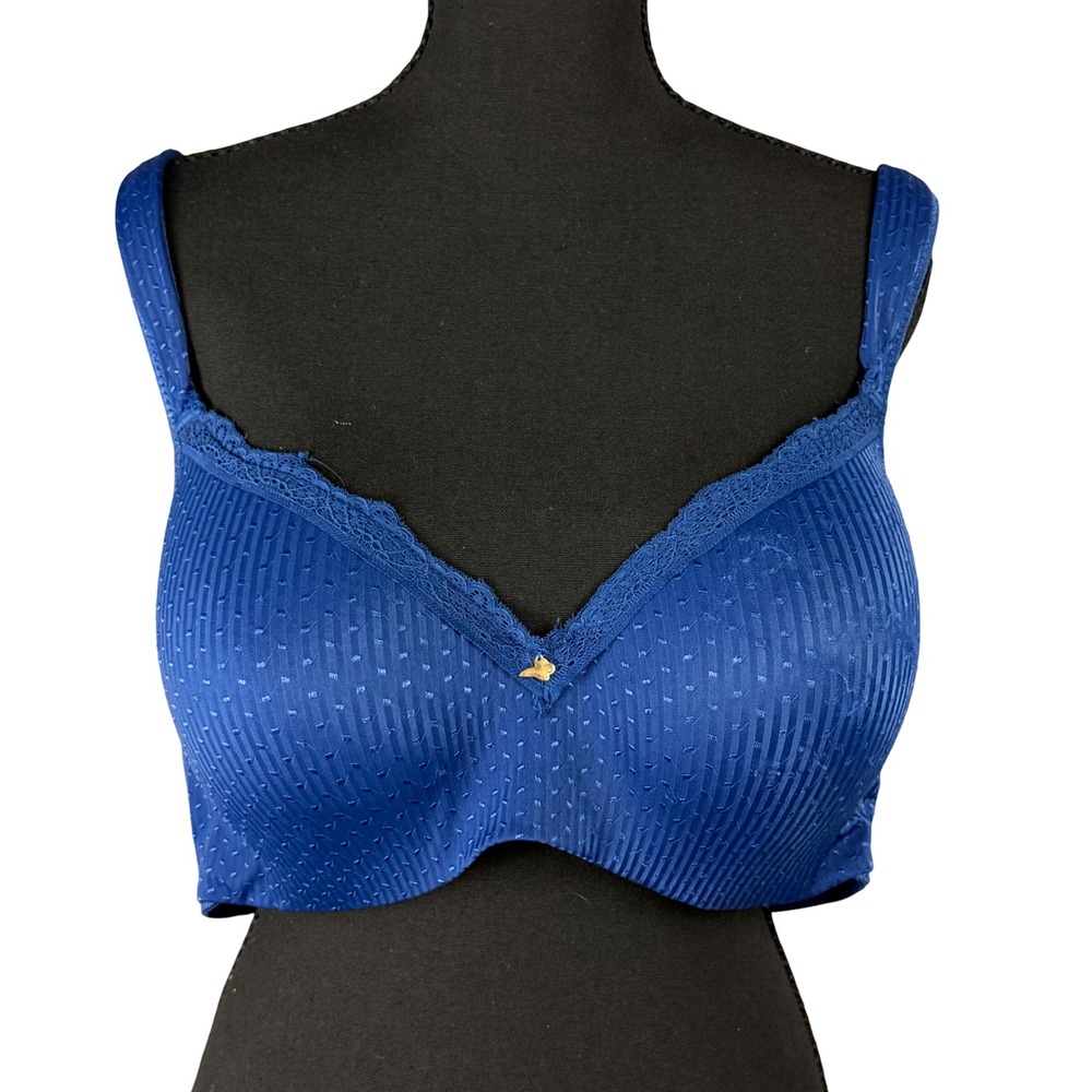 Ashley Stewart Butterfly Full Coverage Bra 40D Blue Lace Trim Plus Size Lingerie